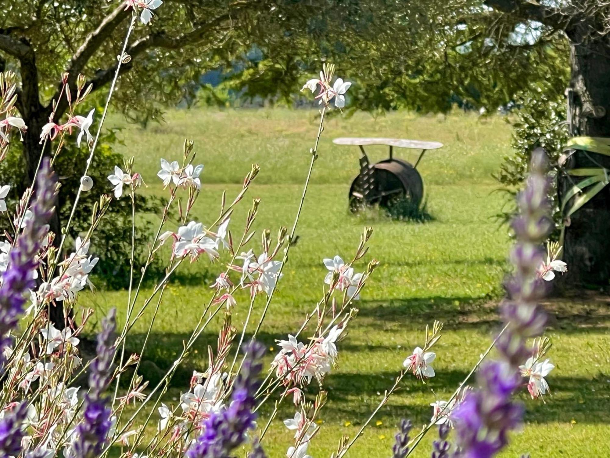 Bastide Du Buou Lägenhet Puyvert Exteriör bild