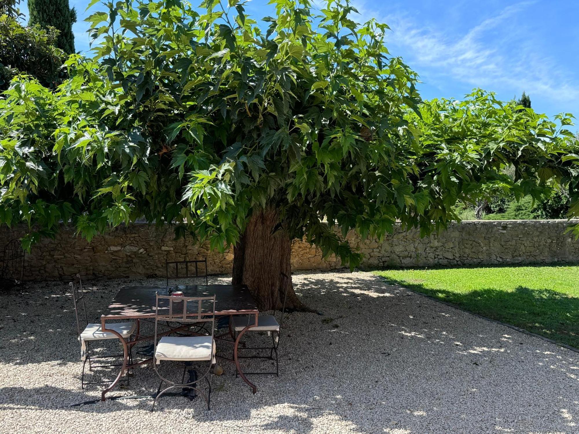 Bastide Du Buou Lägenhet Puyvert Rum bild